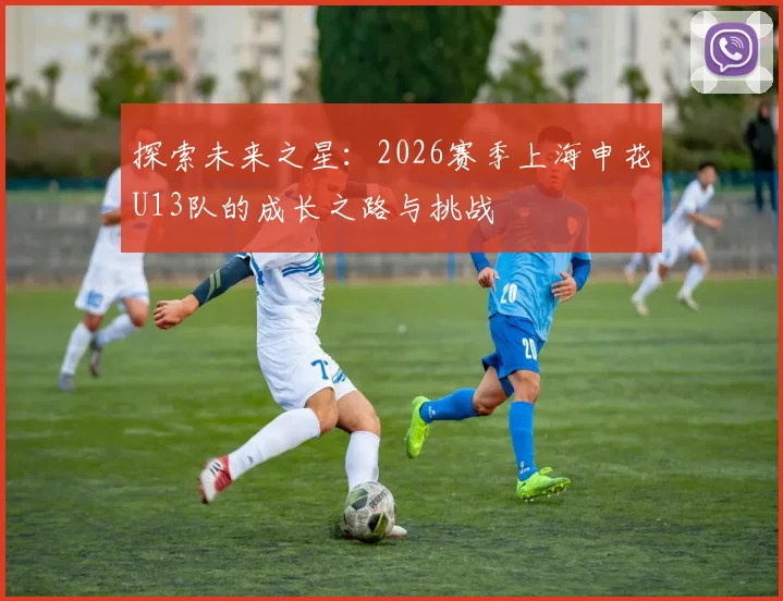 探索未来之星：2026赛季上海申花U13队的成长之路与挑战